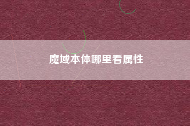 魔域本体哪里看属性