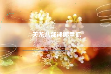 天龙八部熊哪里抓