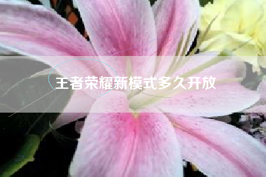 王者荣耀新模式多久开放
