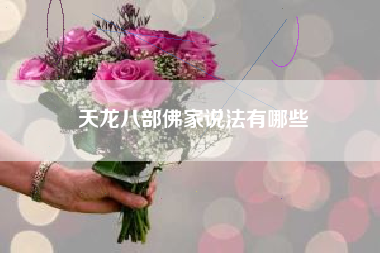 天龙八部佛家说法有哪些