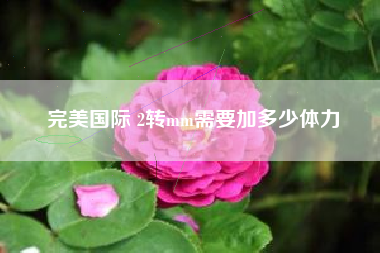 完美国际 2转mm需要加多少体力