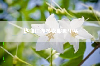热血江湖琴衣服哪里买