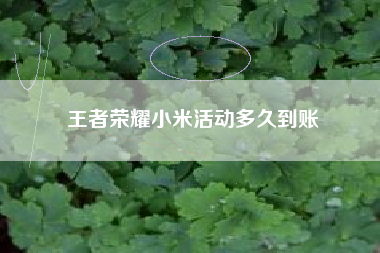王者荣耀小米活动多久到账