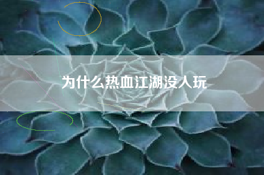 为什么热血江湖没人玩