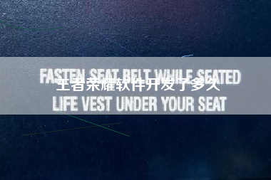 王者荣耀软件开发了多久
