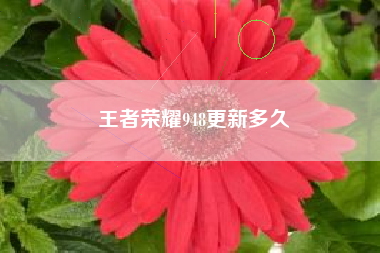 王者荣耀948更新多久