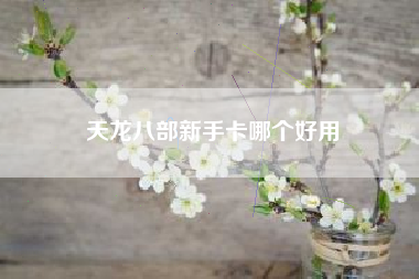 天龙八部新手卡哪个好用