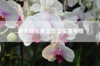 地下城与勇士怎么买疲劳度