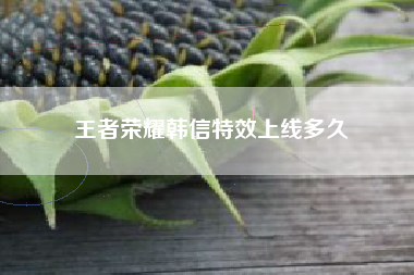 王者荣耀韩信特效上线多久