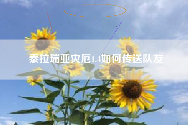 泰拉瑞亚灾厄1.4如何传送队友