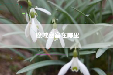 魔域密室在哪里