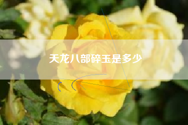 天龙八部碎玉是多少