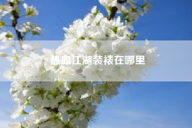 热血江湖装裱在哪里