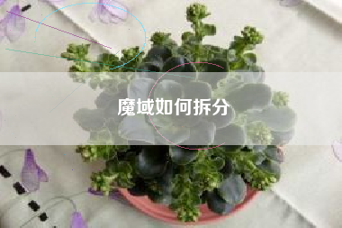 魔域如何拆分