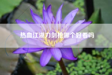 热血江湖刀剑枪哪个好看吗