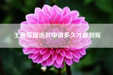 王者荣耀退款申请多久才能到账