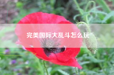 完美国际大乱斗怎么玩