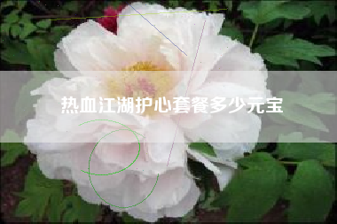 热血江湖护心套餐多少元宝
