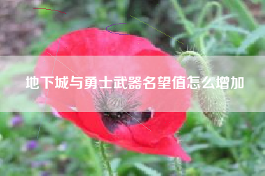 地下城与勇士武器名望值怎么增加