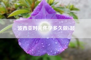 波西亚时光怀孕多久做b超