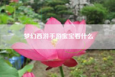梦幻西游手游宝宝看什么