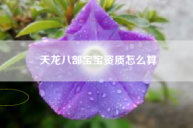 天龙八部宝宝资质怎么算