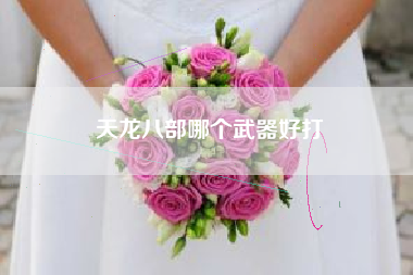 天龙八部哪个武器好打