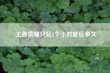 王者荣耀只玩1个小时能玩多久