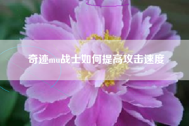 奇迹mu战士如何提高攻击速度