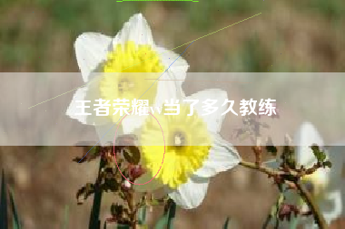 王者荣耀vv当了多久教练