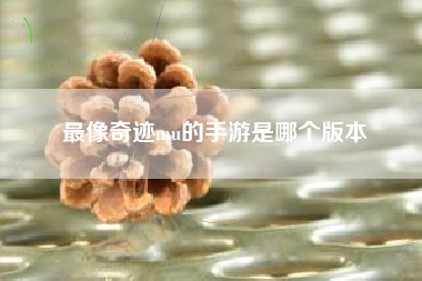 最像奇迹mu的手游是哪个版本