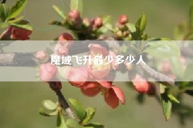 魔域飞升最少多少人