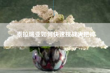 泰拉瑞亚如何快速挑战火把神