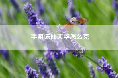 手游诛仙天华怎么克