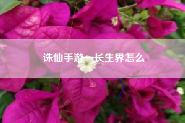 诛仙手游一长生界怎么
