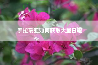 泰拉瑞亚如何获取大量日耀