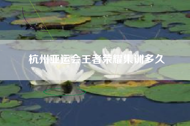 杭州亚运会王者荣耀集训多久
