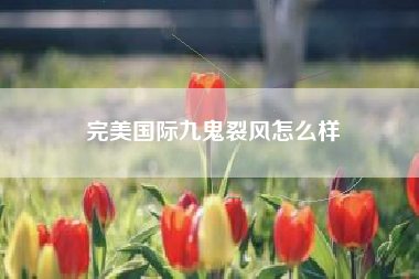 完美国际九鬼裂风怎么样