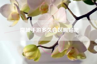 魔域手游多久合区啊贴吧