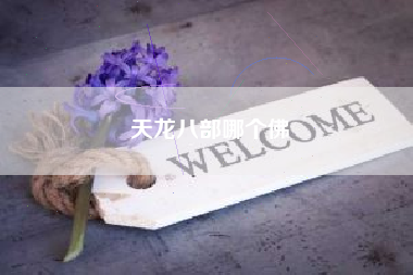 天龙八部哪个佛
