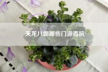 天龙八部哪些门派毒抗