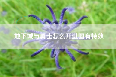 地下城与勇士怎么开进图有特效