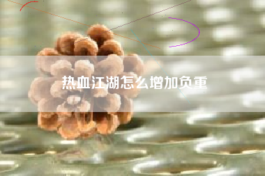 热血江湖怎么增加负重