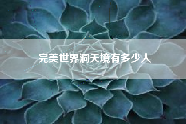 完美世界洞天境有多少人