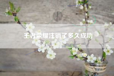王者荣耀注销了多久成功