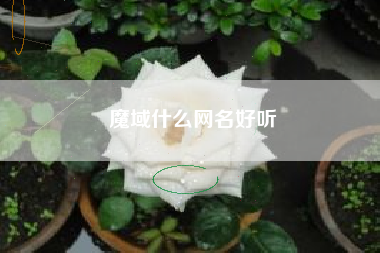 魔域什么网名好听