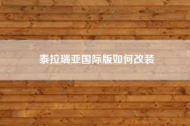 泰拉瑞亚国际版如何改装
