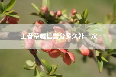 王者荣耀信誉分多久补一次