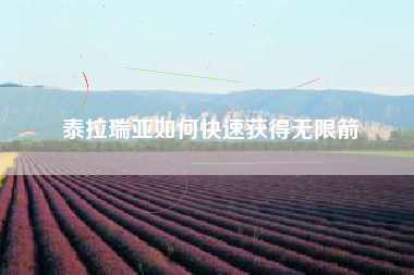 泰拉瑞亚如何快速获得无限箭