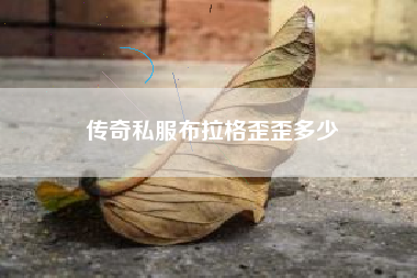 传奇私服布拉格歪歪多少